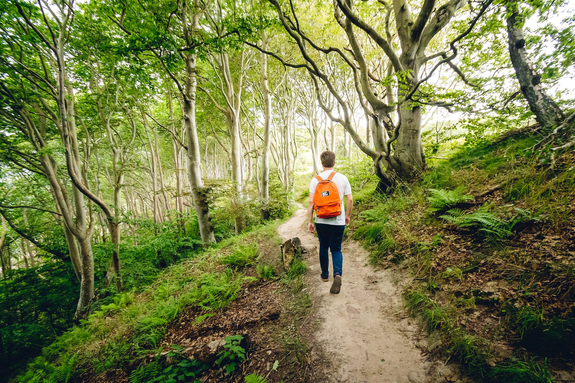 woman in white long sleeve shirt walking on dirt road between trees during daytime